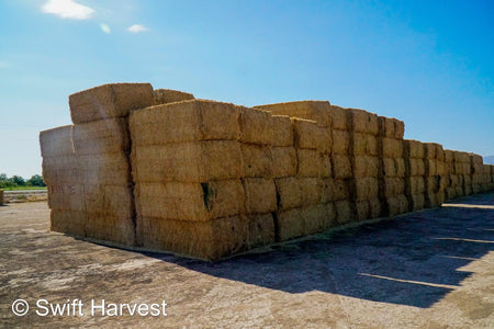 H&C Farms Big Bale Alfalfa B1-3-24B Fair/Good AZ Big Bale Alfalfa CP 18 RFV 138 TDN 54 FACS 98/110