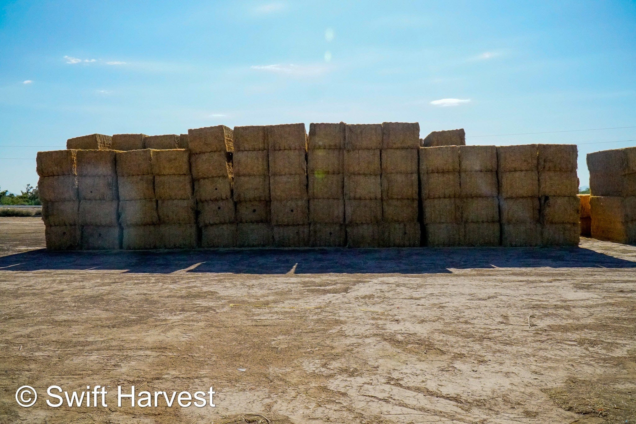 H&C Farms Big Bale Alfalfa B1-3-24B Fair/Good AZ Big Bale Alfalfa CP 18 RFV 138 TDN 54 FACS 98/110