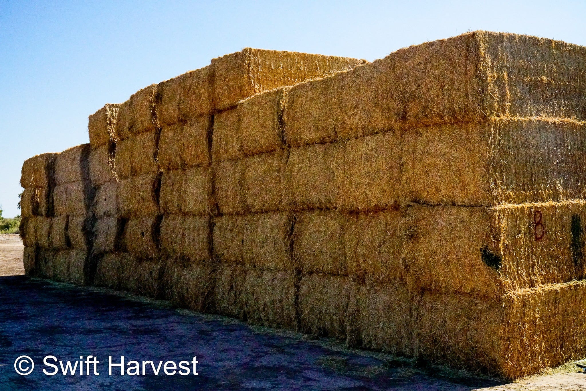 H&C Farms Big Bale Alfalfa B1-3-24B Fair/Good AZ Big Bale Alfalfa CP 18 RFV 138 TDN 54 FACS 98/110