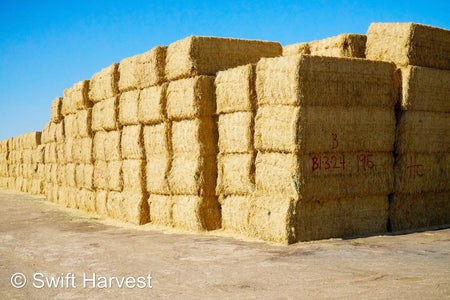 H&C Farms Big Bale Alfalfa B1-3-24B Fair/Good AZ Big Bale Alfalfa CP 18 RFV 138 TDN 54 FACS 98/110