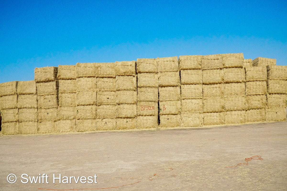 H&C Farms Big Bale Alfalfa B1-3-24B Fair/Good AZ Big Bale Alfalfa CP 18 RFV 138 TDN 54 FACS 98/110