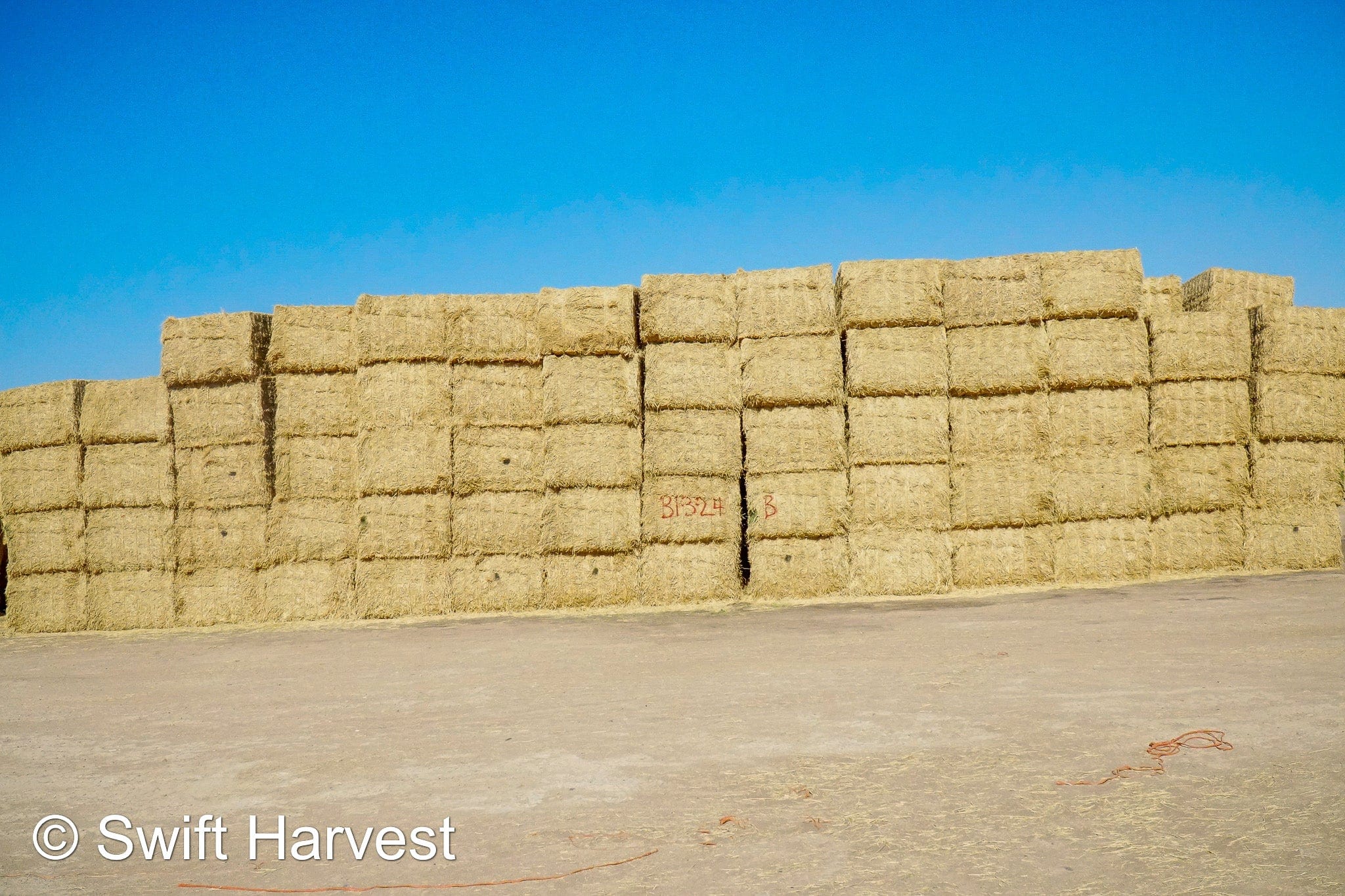 H&C Farms Big Bale Alfalfa B1-3-24B Fair/Good AZ Big Bale Alfalfa CP 18 RFV 138 TDN 54 FACS 98/110