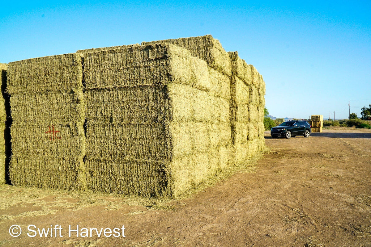 H&C Farms Big Bale Alfalfa B1-3-24B Supreme Alfalfa Test Hay Big Bales RFV 198.04 CP 26.24 TDN 61.30 SH 88/110