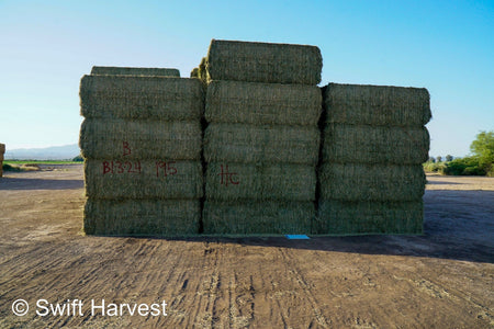 H&C Farms Big Bale Alfalfa B1-3-24B Supreme Alfalfa Test Hay Big Bales RFV 198.04 CP 26.24 TDN 61.30 SH 88/110