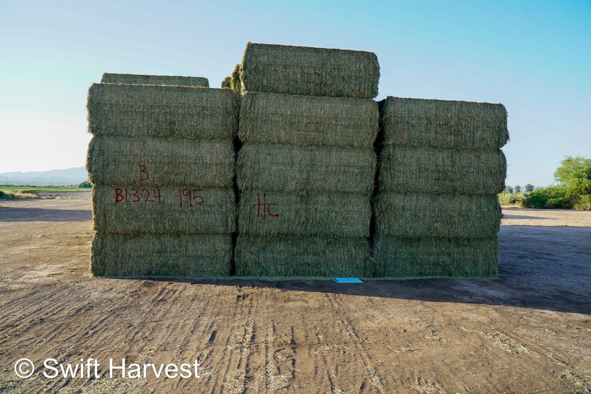 Martinez Farms Big Bale Alfalfa B1-3-24B Supreme Alfalfa Test Hay Big Bales RFV 198.04 CP 26.24 TDN 61.30 SH 88/110