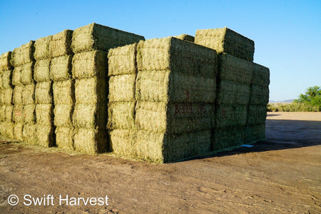 Martinez Farms Big Bale Alfalfa B1-3-24B Supreme Alfalfa Test Hay Big Bales RFV 198.04 CP 26.24 TDN 61.30 SH 88/110