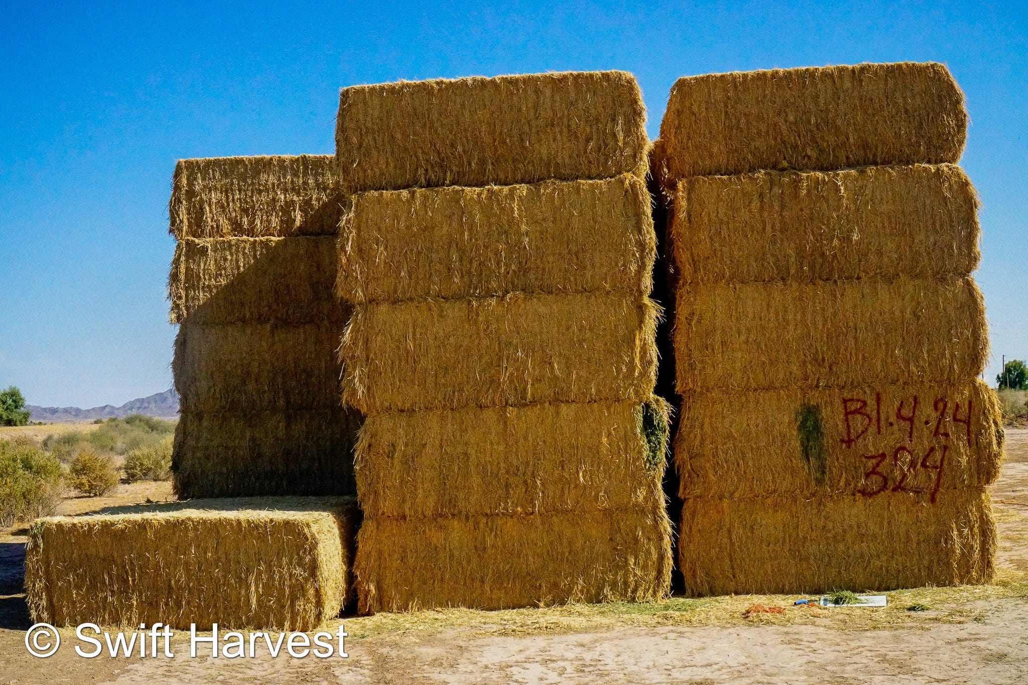 H&C Farms Big Bale Alfalfa B1-4-24 Good AZ Big Bales Alfalfa CP 19 RFV 148 TDN 58  FAC 98/110