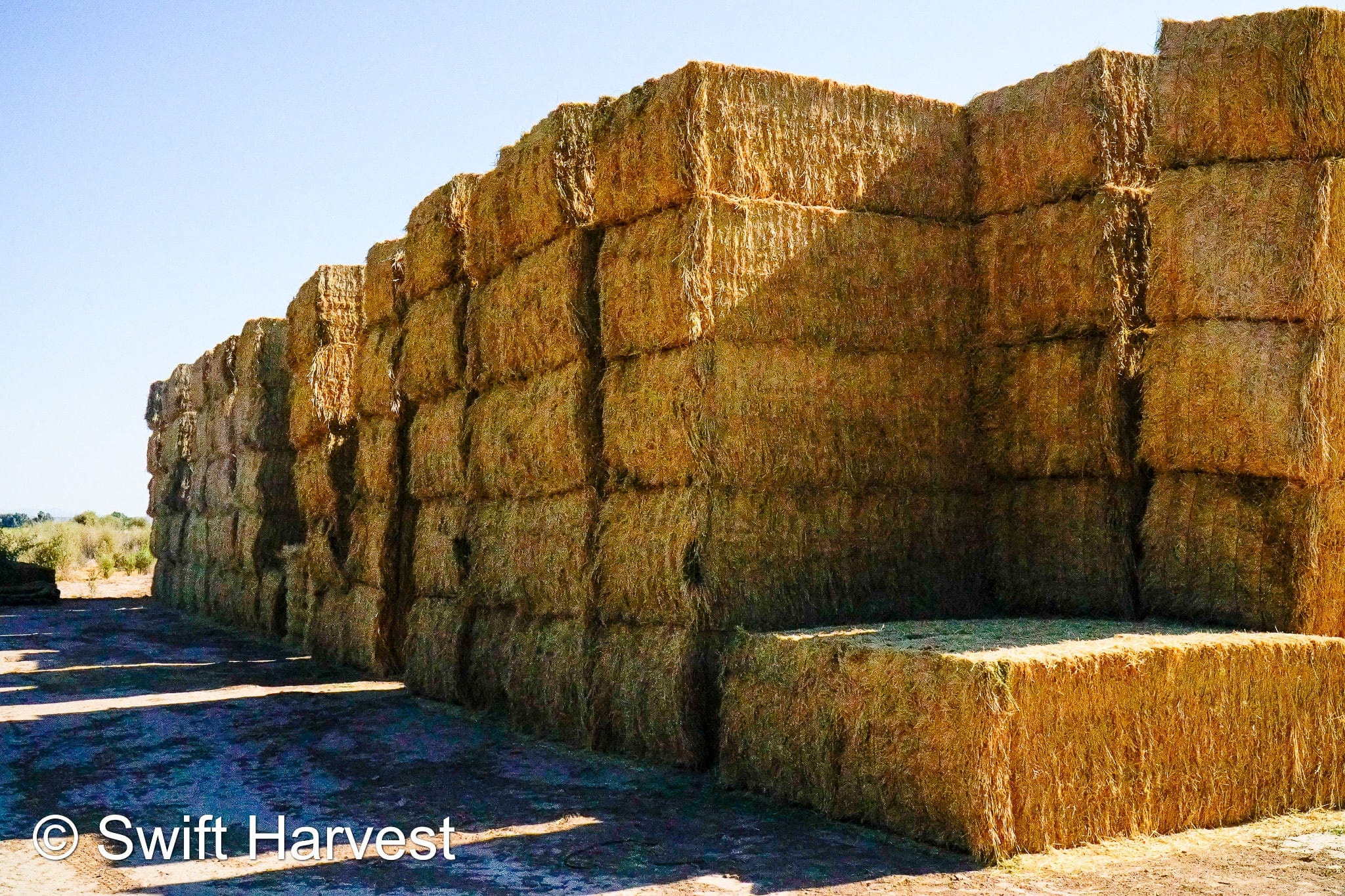 H&C Farms Big Bale Alfalfa B1-4-24 Good AZ Big Bales Alfalfa CP 19 RFV 148 TDN 58  FAC 98/110