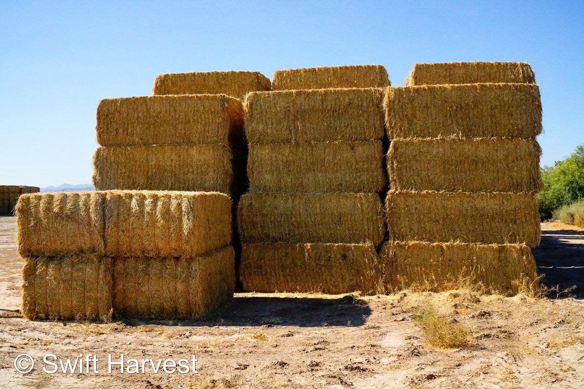 H&C Farms Big Bale Alfalfa B1-4-24 Good AZ Big Bales Alfalfa CP 19 RFV 148 TDN 58  FAC 98/110