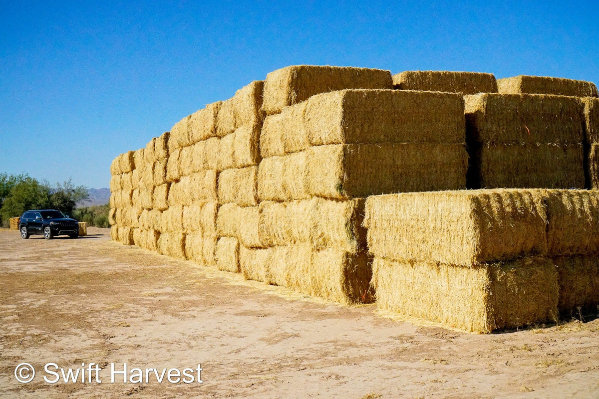 H&C Farms Big Bale Alfalfa B1-4-24 Good AZ Big Bales Alfalfa CP 19 RFV 148 TDN 58  FAC 98/110