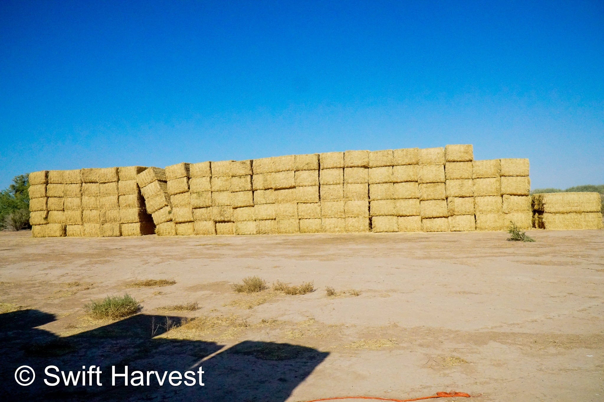 H&C Farms Big Bale Alfalfa B1-4-24 Good AZ Big Bales Alfalfa CP 19 RFV 148 TDN 58  FAC 98/110