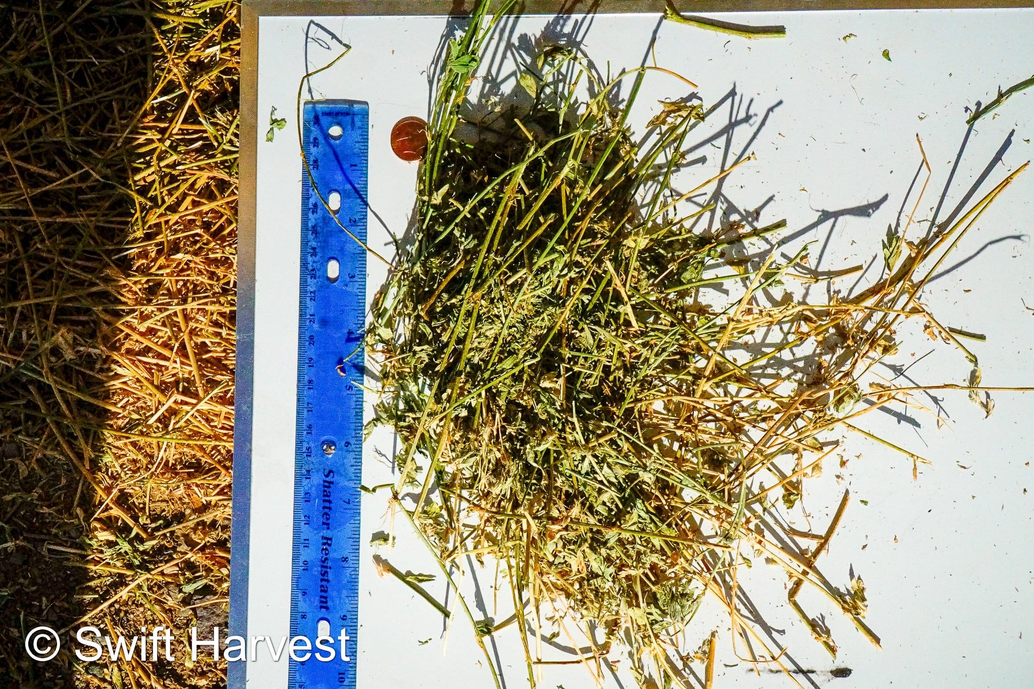 H&C Farms Big Bale Alfalfa B1-4-24 Good AZ Big Bales Alfalfa CP 19 RFV 148 TDN 58  FAC 98/110