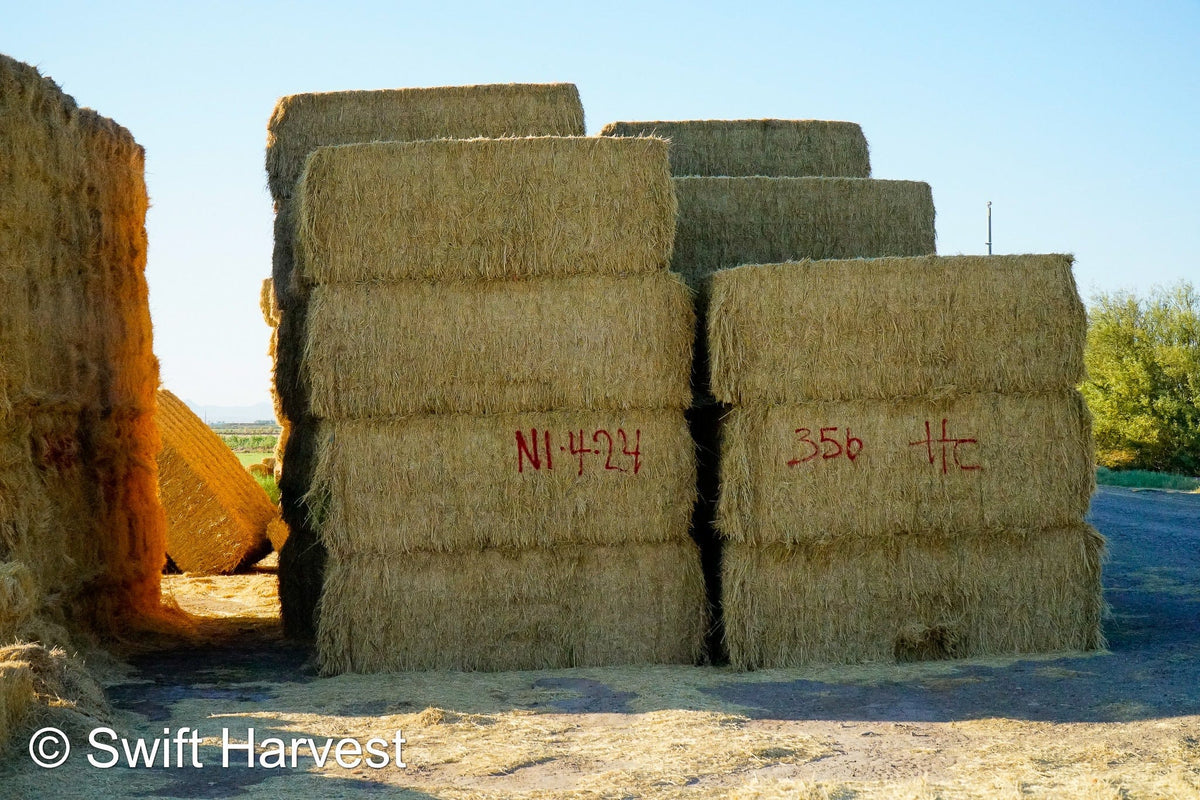 H&C Farms Big Bale Alfalfa N1-4-24 Good AZ Alfalfa Big Bales CP 18 RFV 169 TDN 57 FACS 96/110