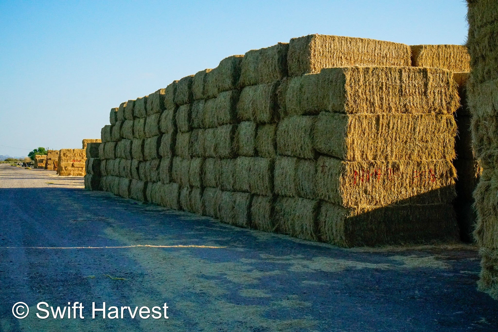 H&C Farms Big Bale Alfalfa N1-4-24 Good AZ Alfalfa Big Bales CP 18 RFV 169 TDN 57 FACS 96/110