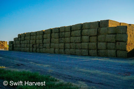 H&C Farms Big Bale Alfalfa N1-4-24 Good AZ Alfalfa Big Bales CP 18 RFV 169 TDN 57 FACS 96/110