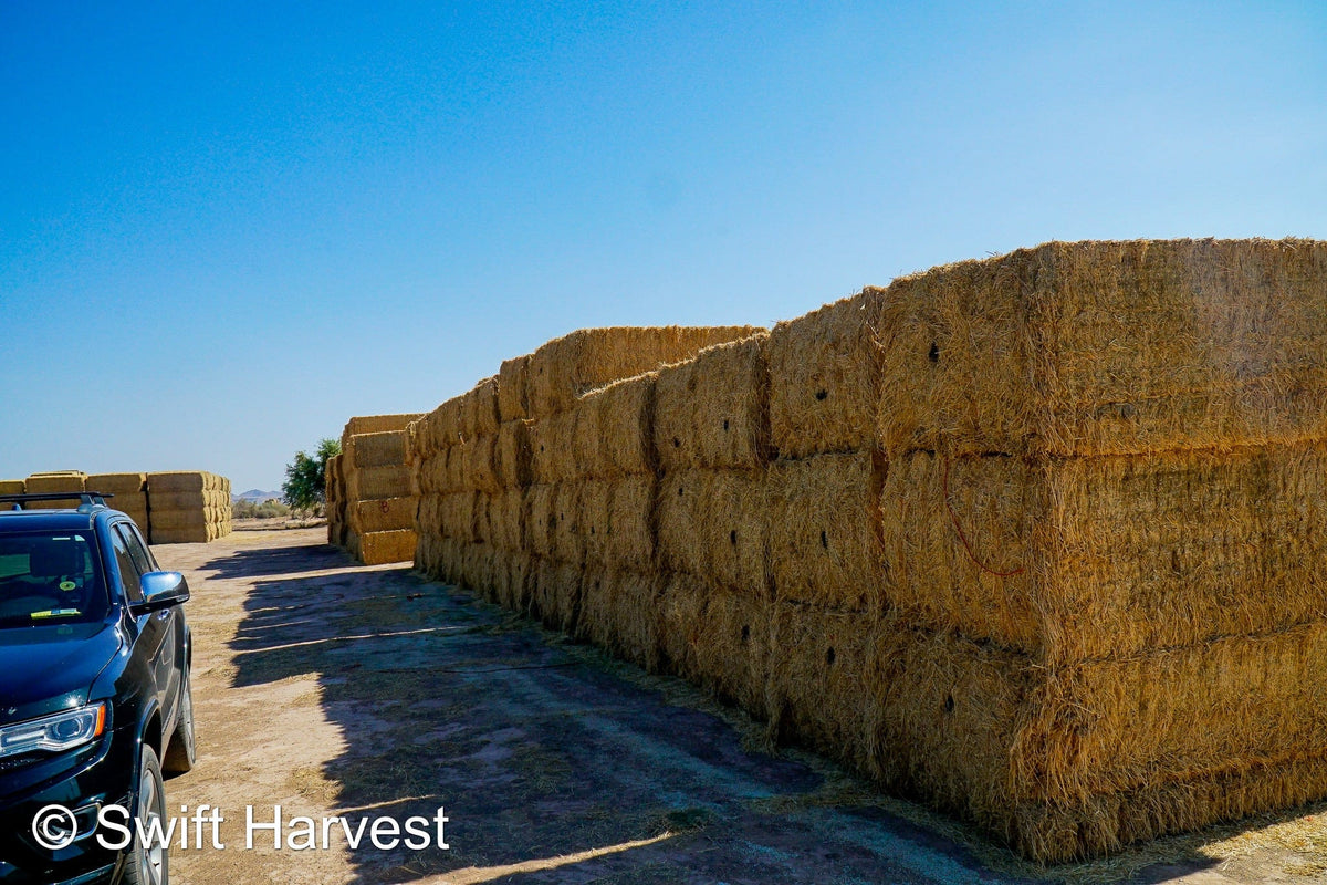 H&C Farms Big Bale Alfalfa N1-4-24 Good AZ Alfalfa Big Bales CP 18 RFV 169 TDN 57 FACS 96/110