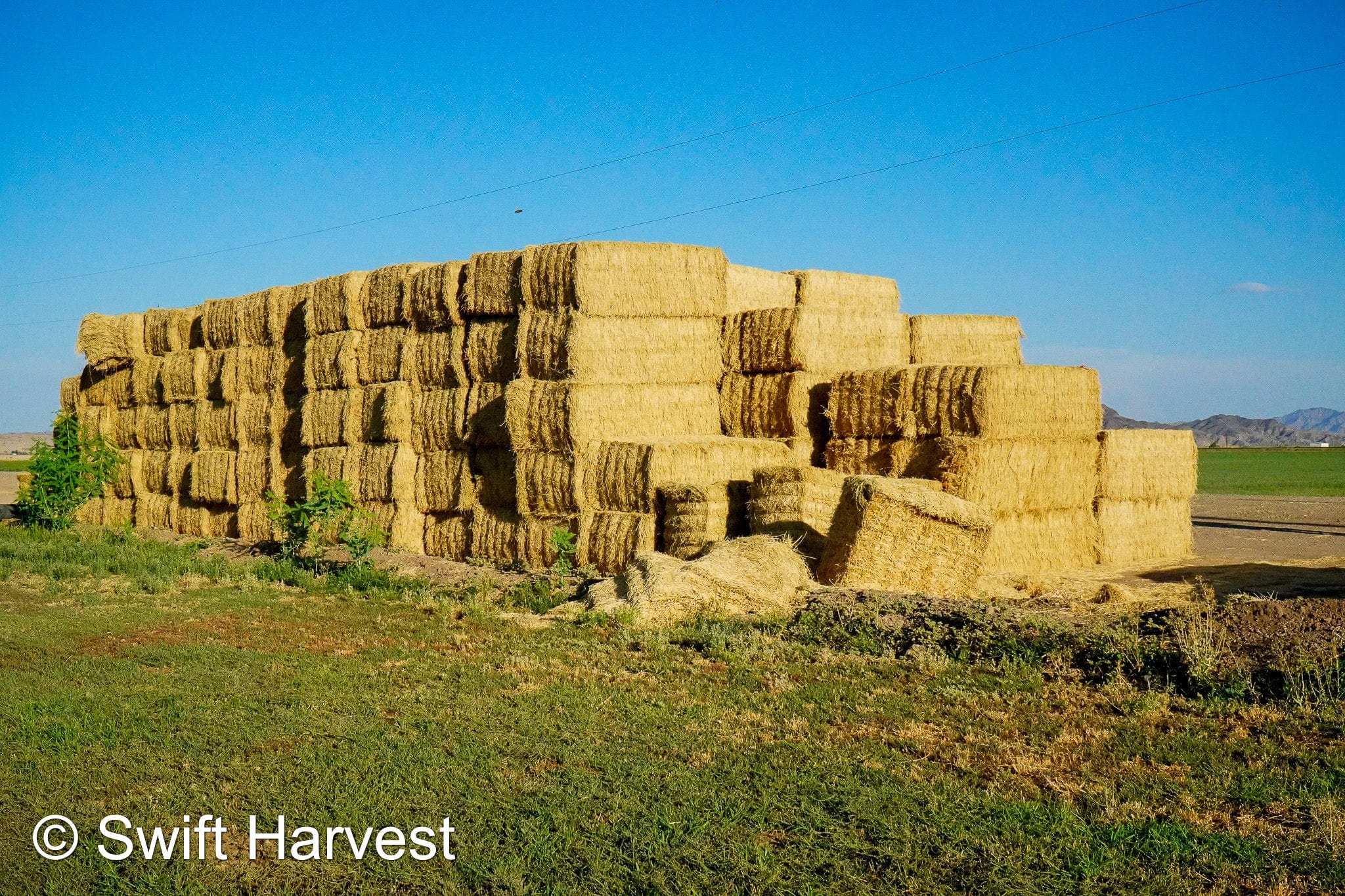 H&C Farms Big Bale Alfalfa N1-4-24 Good AZ Alfalfa Big Bales CP 18 RFV 169 TDN 57 FACS 96/110