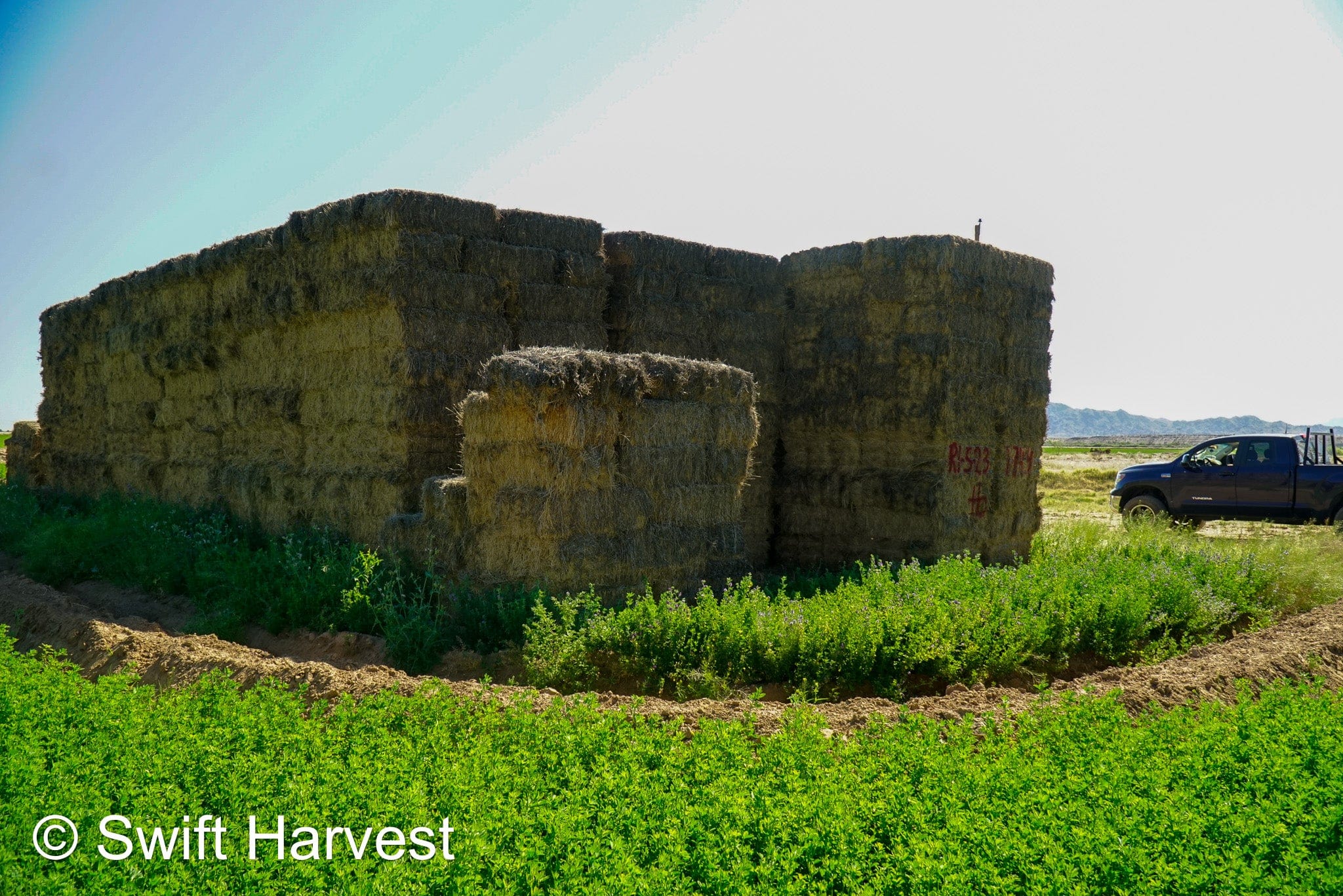 H&C Farms Retail Alfalfa 3-String Arizona Alfalfa Retail Bales R1-5-23 per ton Rain Damaged live