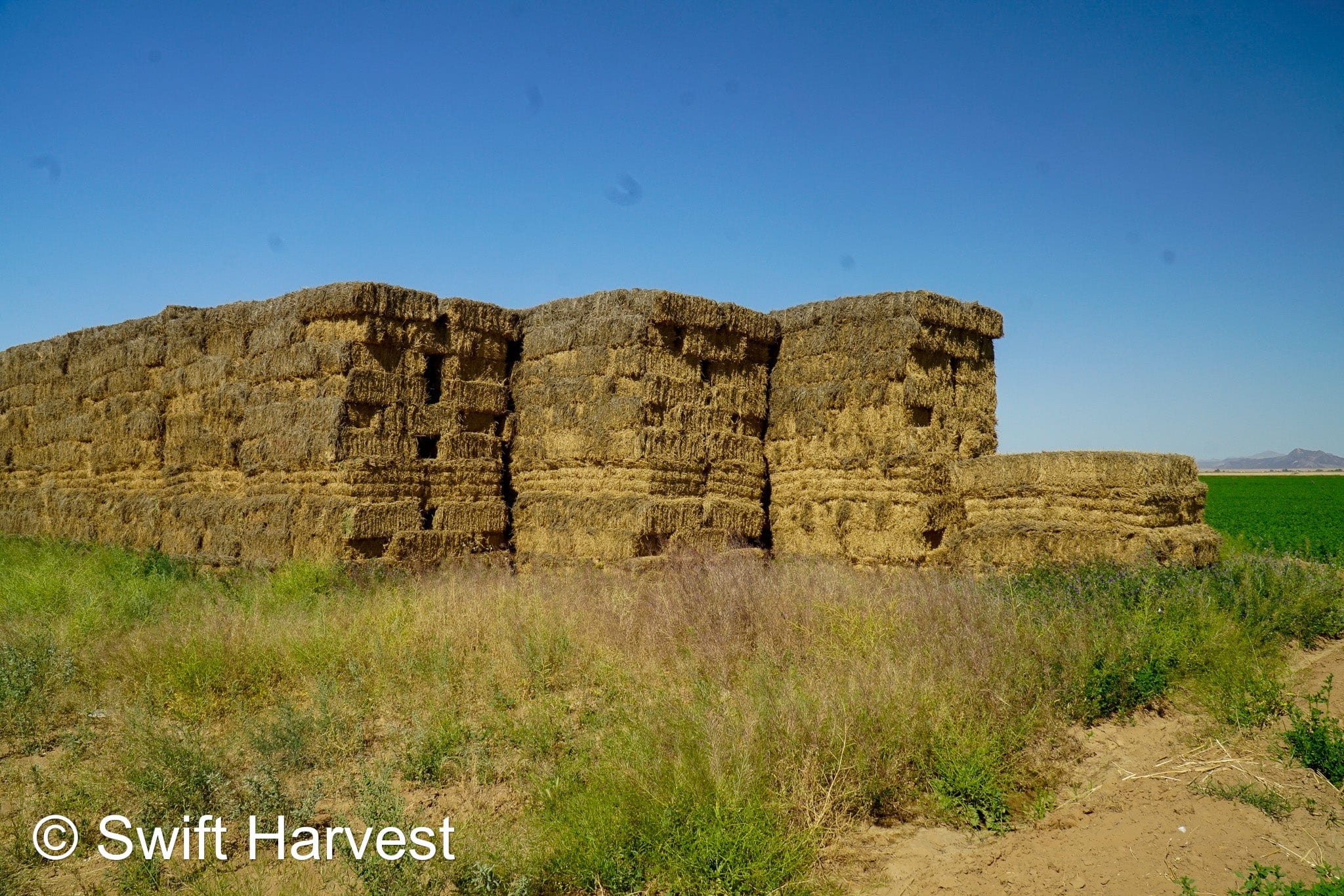 H&C Farms Retail Alfalfa 3-String Arizona Alfalfa Retail Bales R1-5-23 per ton Rain Damaged live