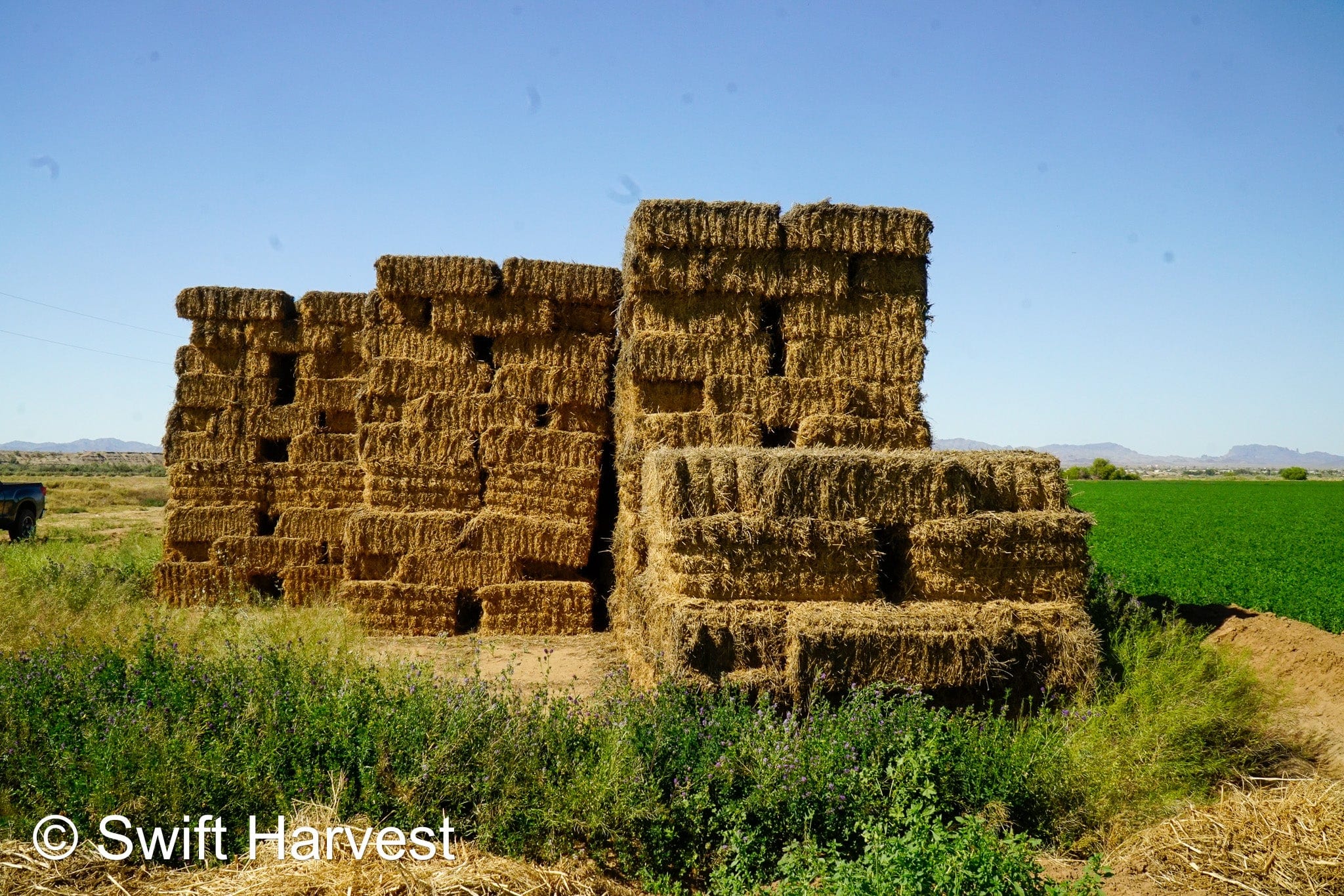 H&C Farms Retail Alfalfa 3-String Arizona Alfalfa Retail Bales R1-5-23 per ton Rain Damaged live