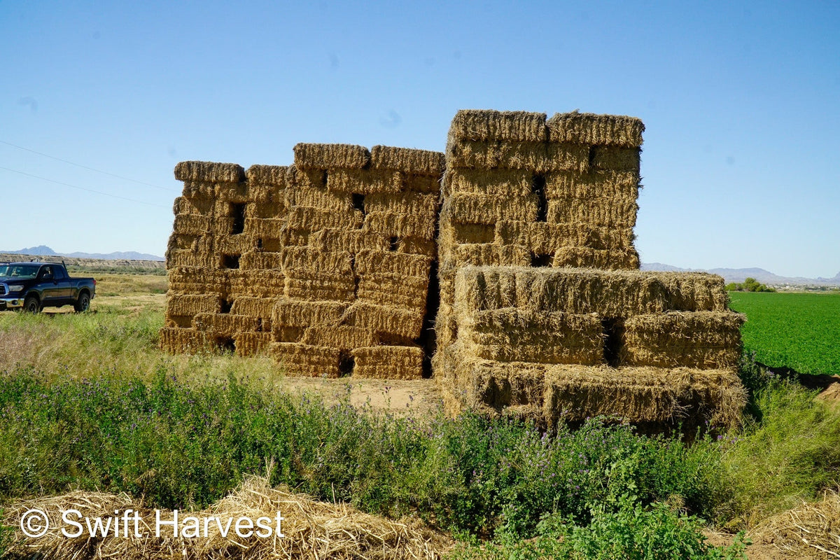 H&C Farms Retail Alfalfa 3-String Arizona Alfalfa Retail Bales R1-5-23 per ton Rain Damaged live