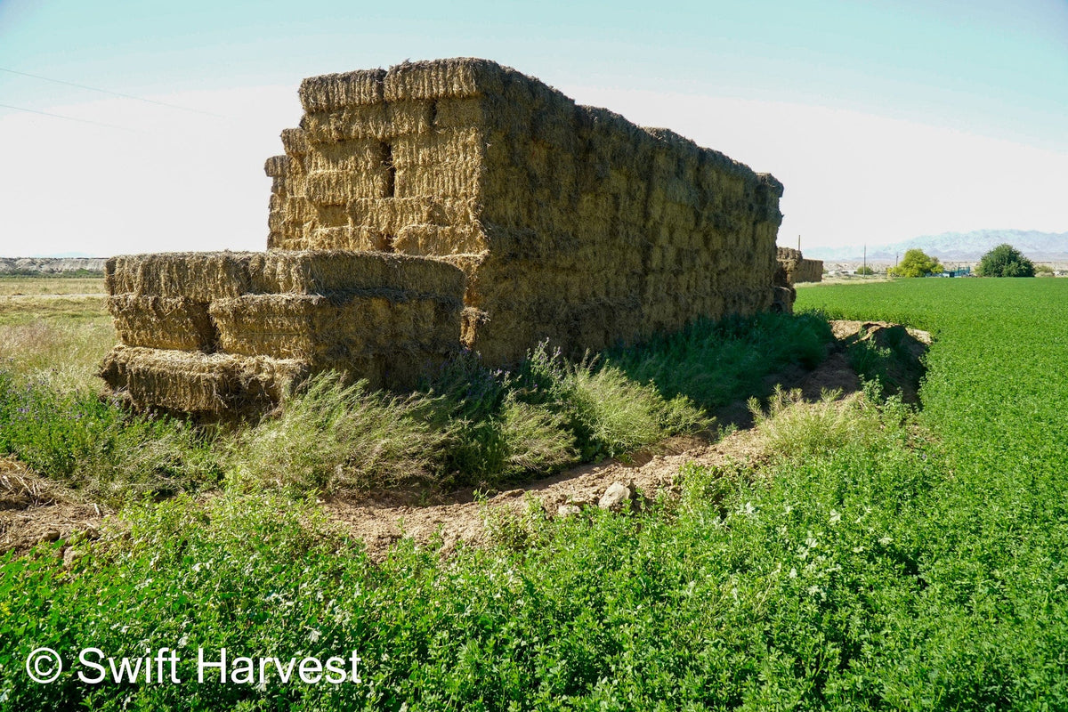 H&C Farms Retail Alfalfa 3-String Arizona Alfalfa Retail Bales R1-5-23 per ton Rain Damaged live