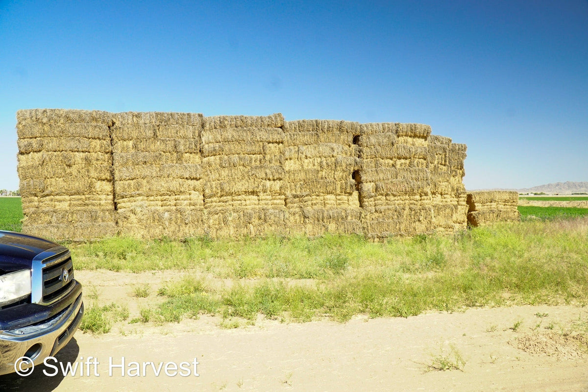 H&C Farms Retail Alfalfa 3-String Arizona Alfalfa Retail Bales R1-5-23 per ton Rain Damaged live