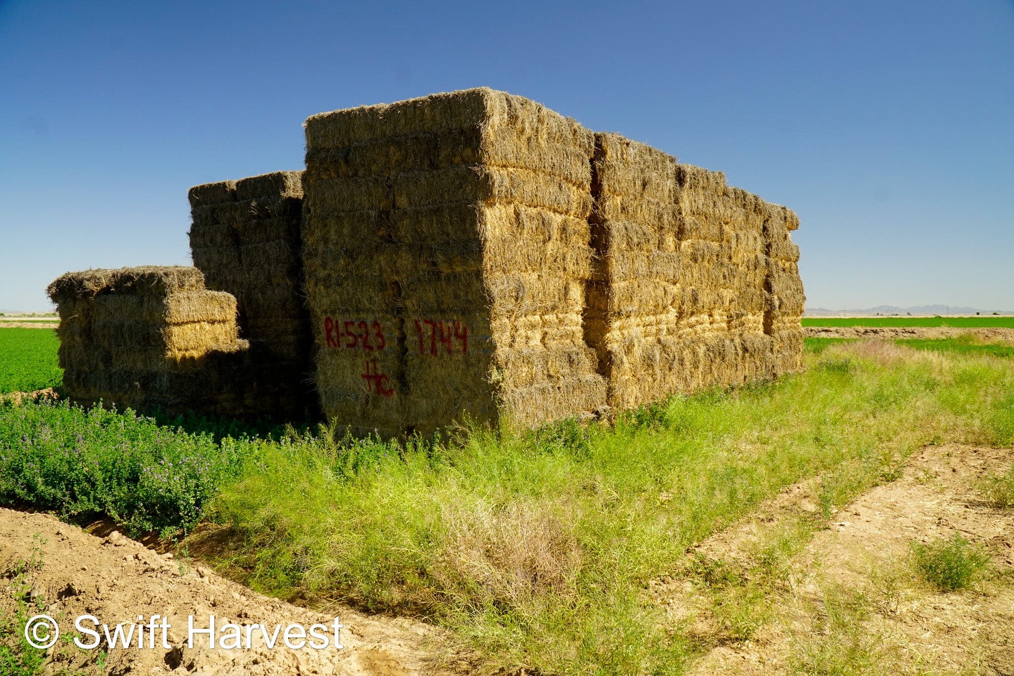 H&C Farms Retail Alfalfa 3-String Arizona Alfalfa Retail Bales R1-5-23 per ton Rain Damaged live