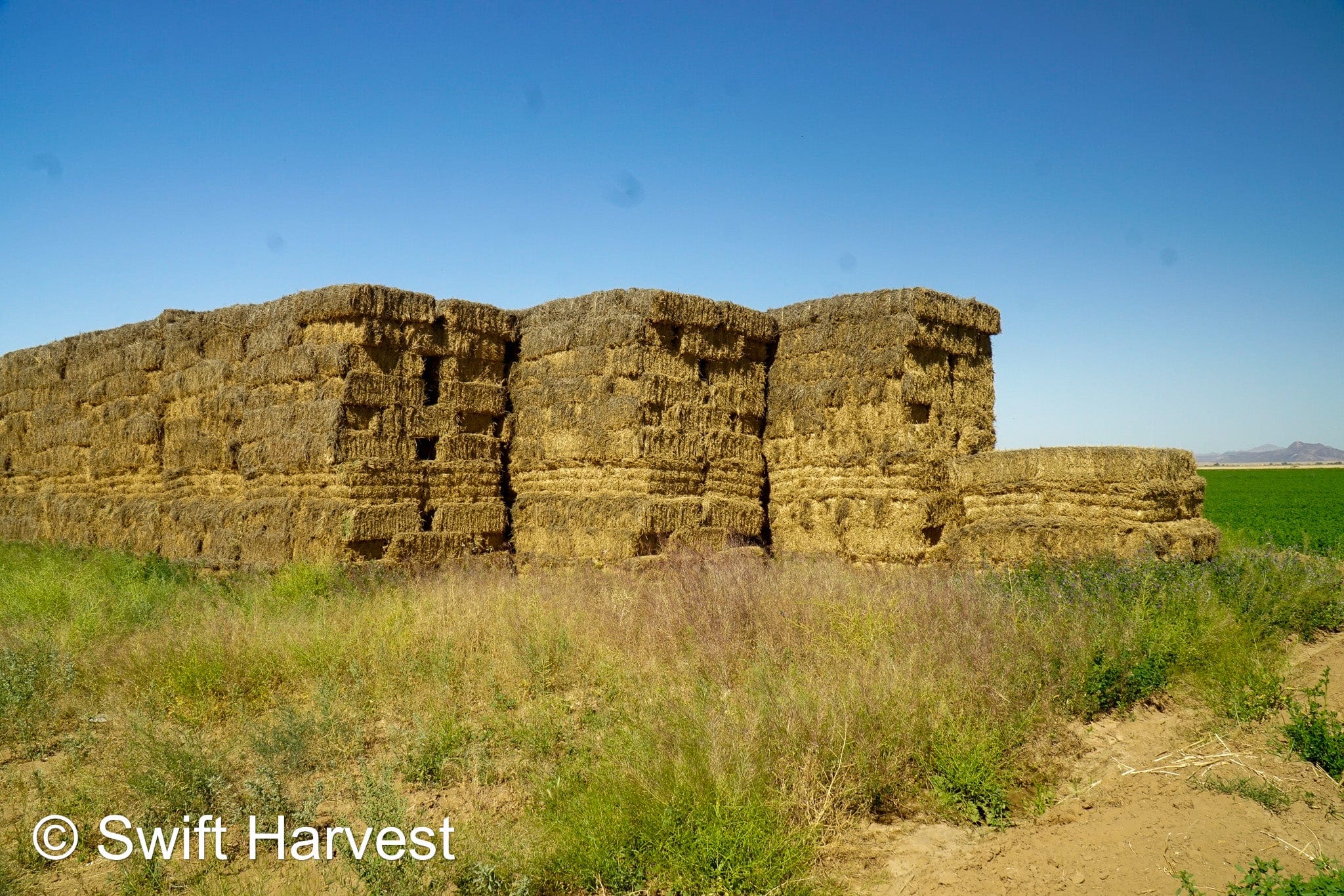 H&C Farms Retail Alfalfa 3-String Arizona Alfalfa Retail Bales R1-5-23 per ton Rain Damaged live