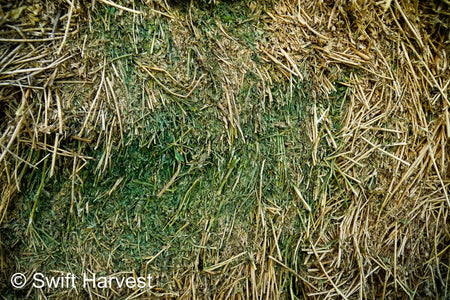 H&C Farms Retail Alfalfa 3-String Arizona Alfalfa Retail Bales R1-5-23 per ton Rain Damaged live