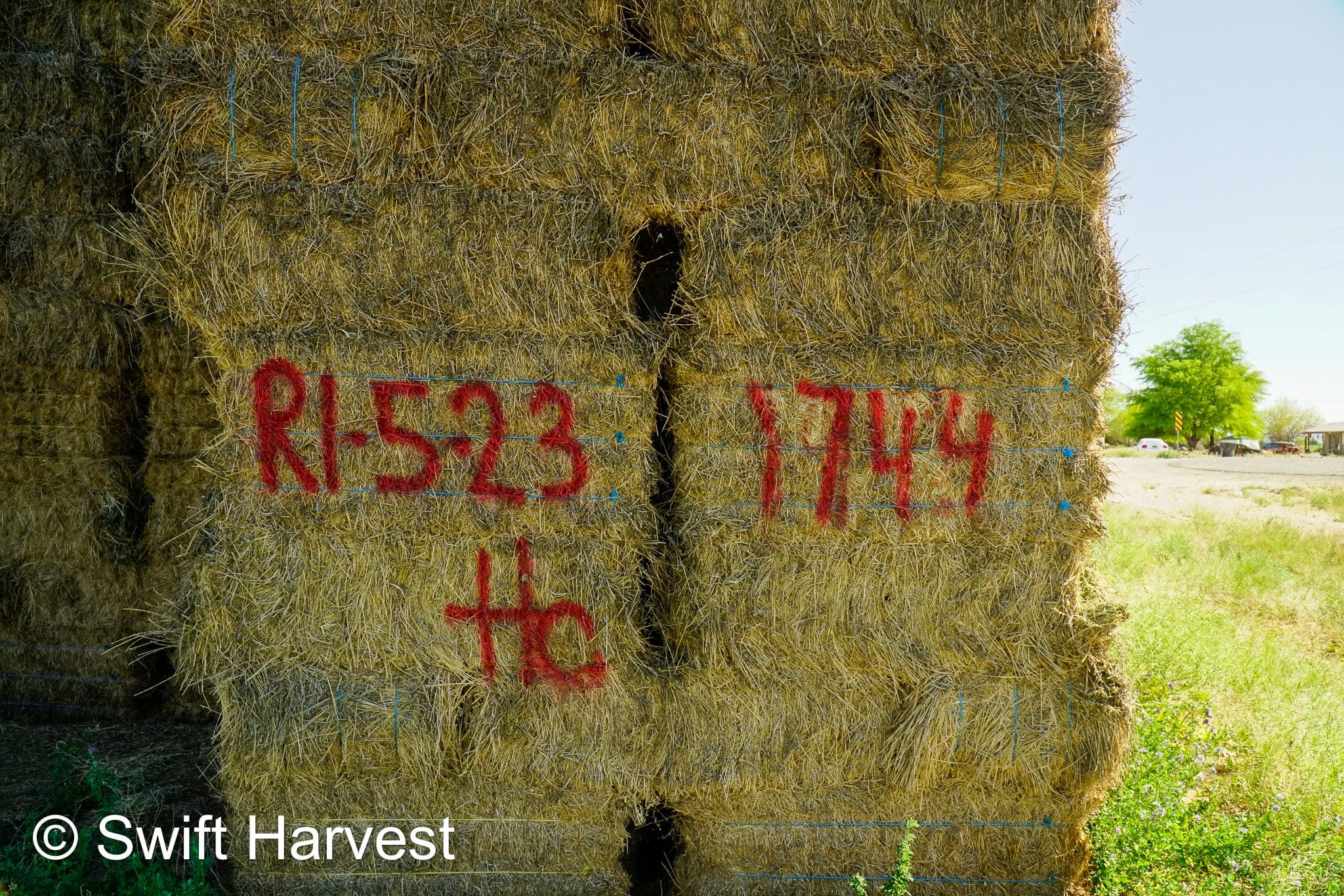 H&C Farms Retail Alfalfa 3-String Arizona Alfalfa Retail Bales R1-5-23 per ton Rain Damaged live