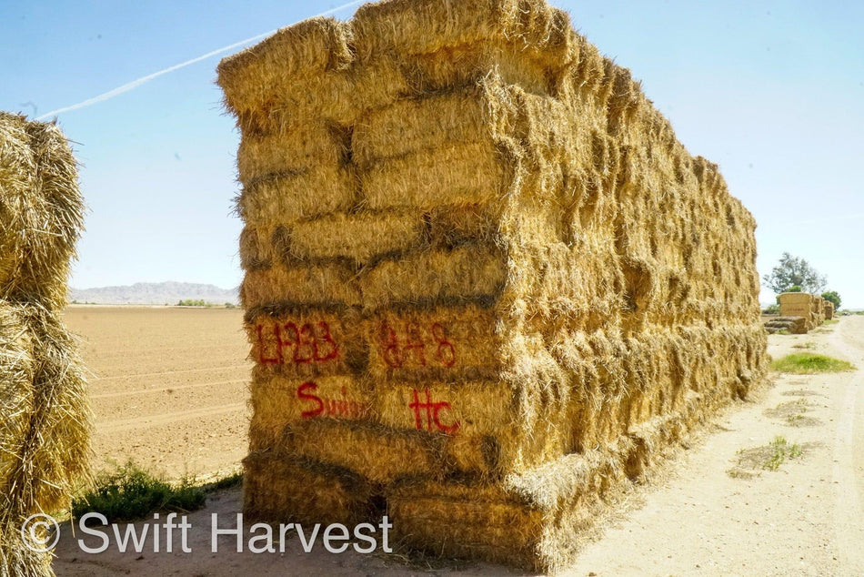 H&C Farms Retail Alfalfa 3-String Arizona Sudan Retail Bales L1-2-23S per bale