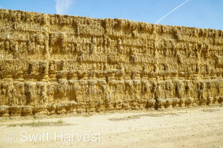 H&C Farms Retail Alfalfa 3-String Arizona Sudan Retail Bales L1-2-23S per bale