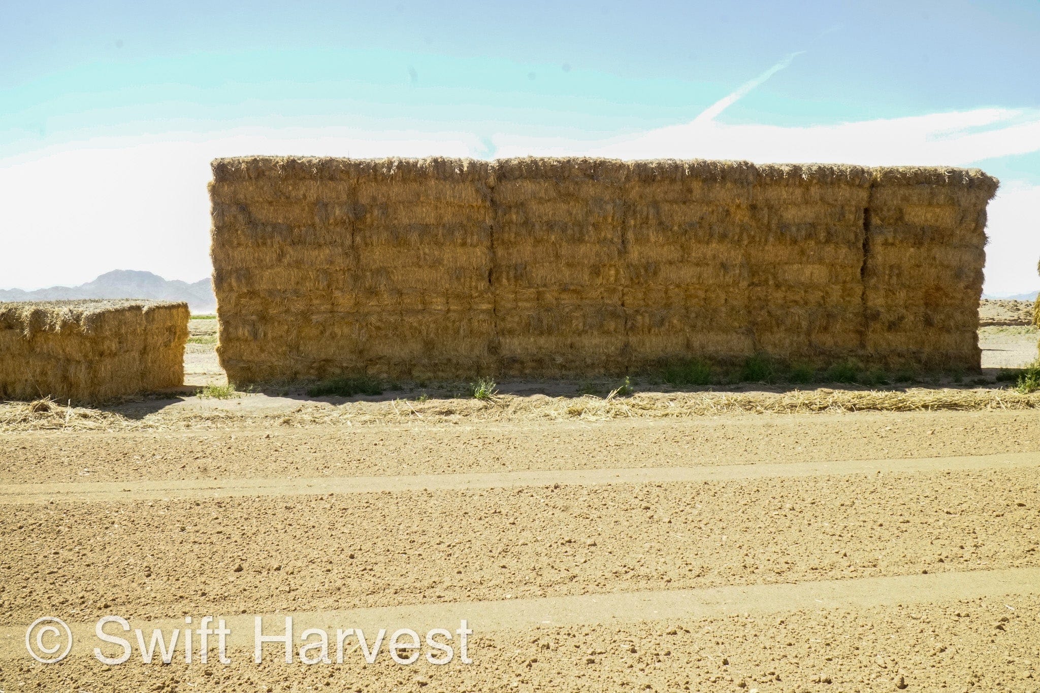 H&C Farms Retail Alfalfa 3-String Arizona Sudan Retail Bales L1-2-23S per bale