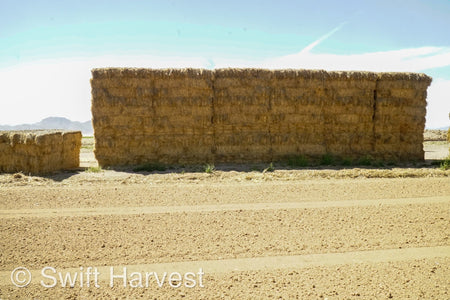 H&C Farms Retail Alfalfa 3-String Arizona Sudan Retail Bales L1-2-23S per bale