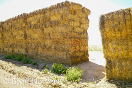 H&C Farms Retail Alfalfa 3-String Arizona Sudan Retail Bales L1-2-23S per bale