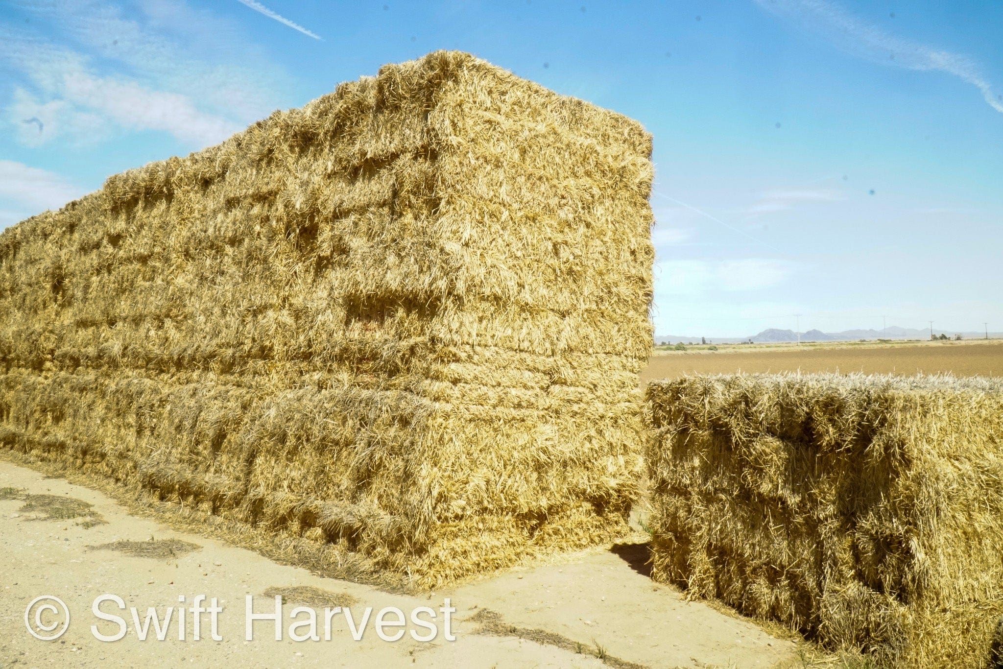 H&C Farms Retail Alfalfa 3-String Arizona Sudan Retail Bales L1-2-23S per bale