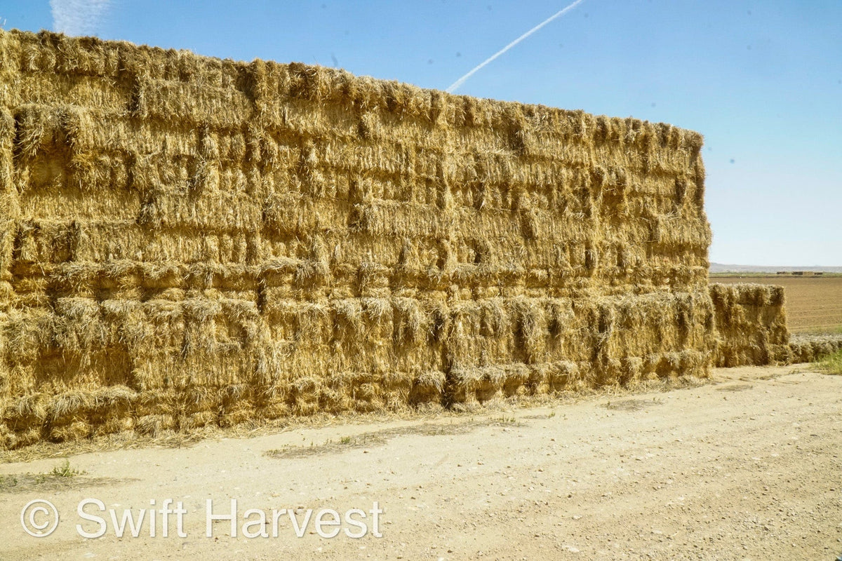 H&C Farms Retail Alfalfa 3-String Arizona Sudan Retail Bales L1-2-23S per bale