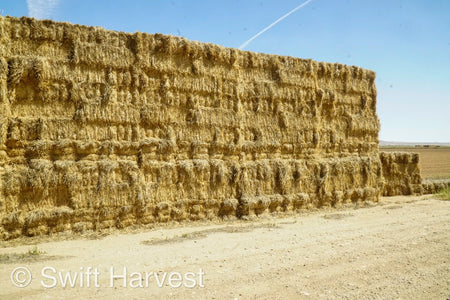 H&C Farms Retail Alfalfa 3-String Arizona Sudan Retail Bales L1-2-23S per bale