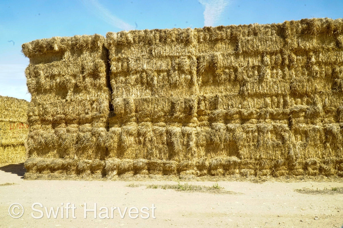 H&C Farms Retail Alfalfa 3-String Arizona Sudan Retail Bales L1-2-23S per bale