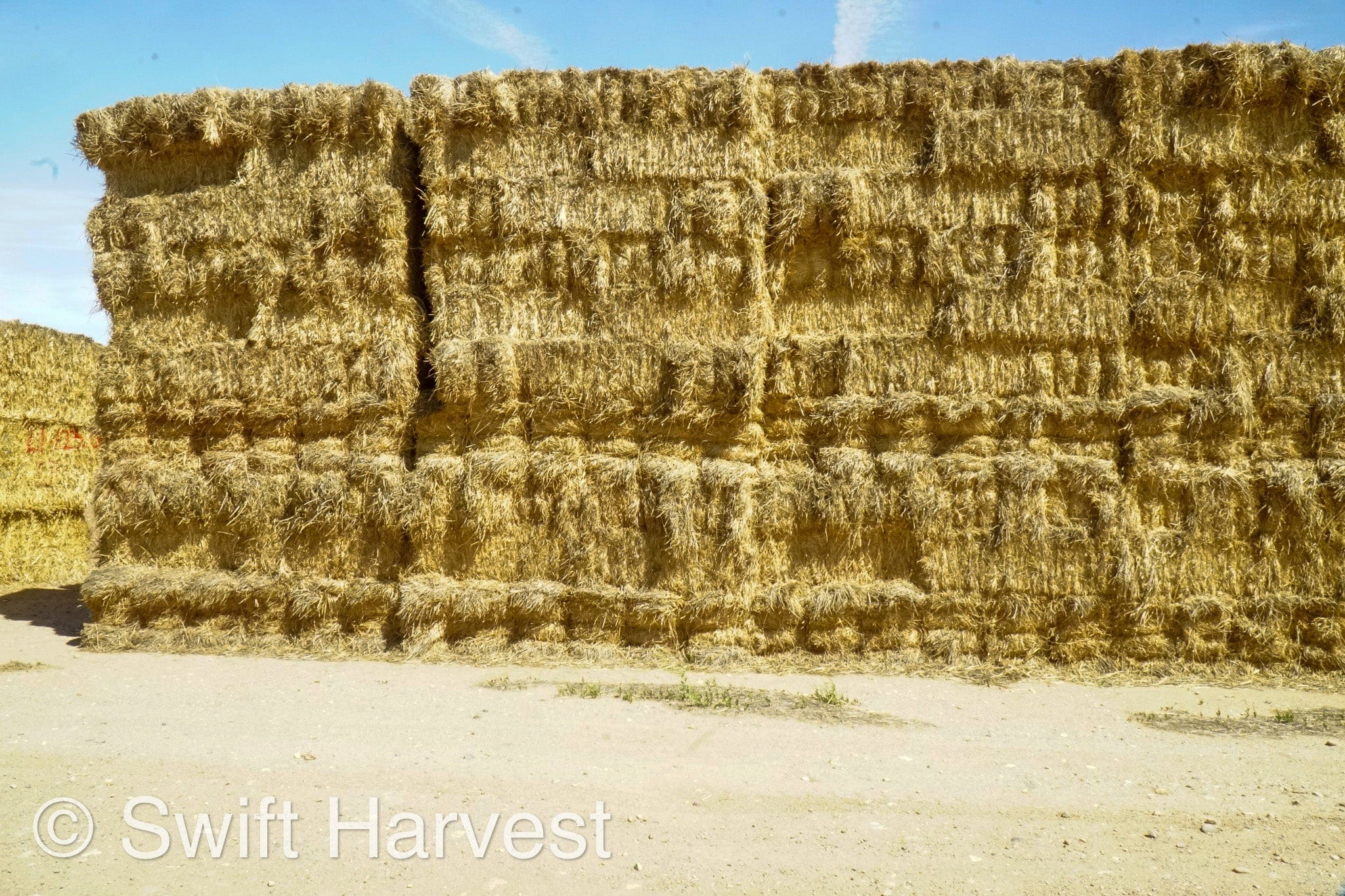 H&C Farms Retail Alfalfa 3-String Arizona Sudan Retail Bales L1-2-23S per bale