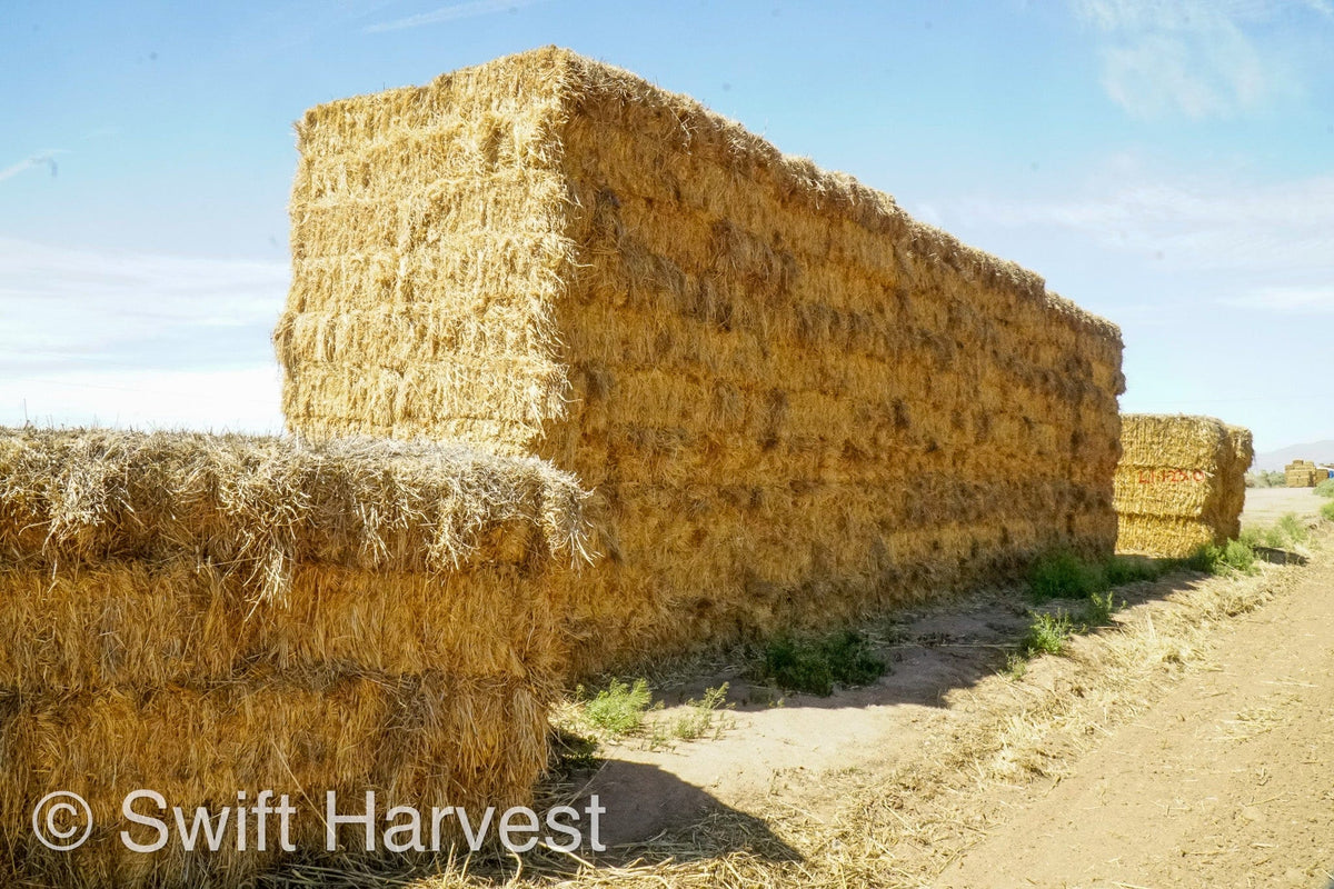 H&C Farms Retail Alfalfa 3-String Arizona Sudan Retail Bales L1-2-23S per bale