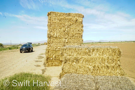 H&C Farms Retail Alfalfa 3-String Arizona Sudan Retail Bales L1-2-23S per bale