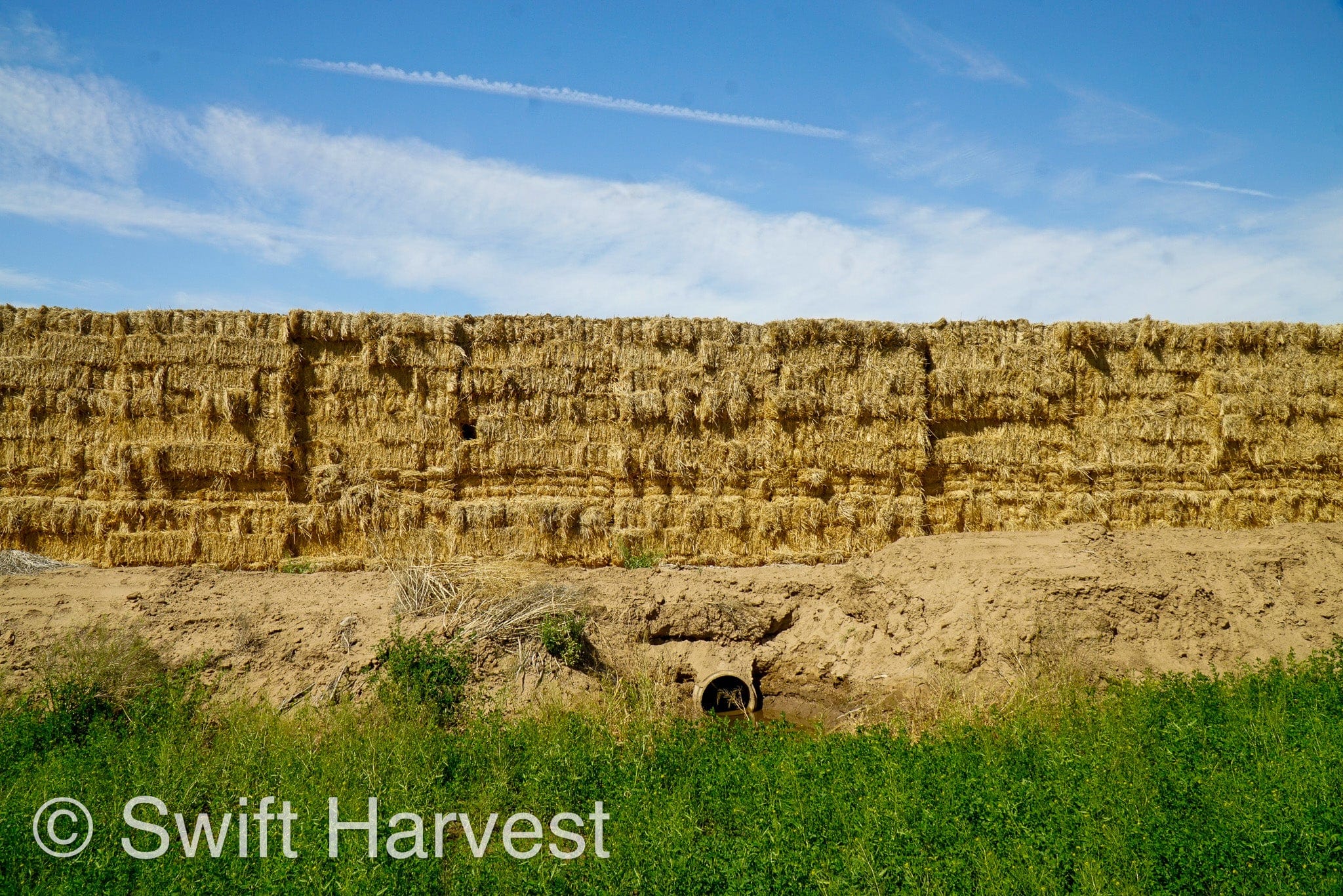 H&C Farms Retail Alfalfa 3-String Arizona Sudan Retail Bales P1-2-23S per bale