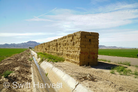 H&C Farms Retail Alfalfa 3-String Arizona Sudan Retail Bales P1-2-23S per bale