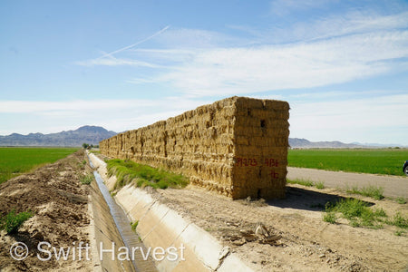 H&C Farms Retail Alfalfa 3-String Arizona Sudan Retail Bales P1-2-23S per bale