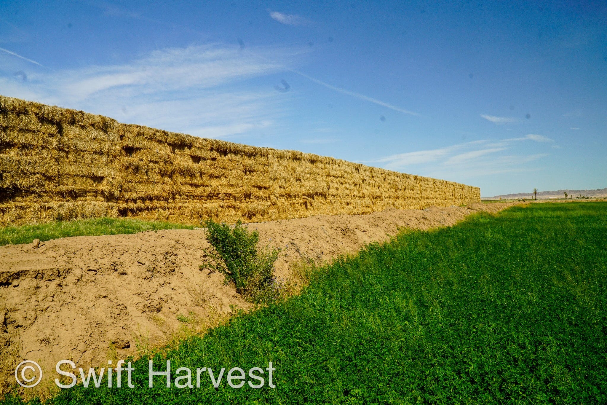 H&C Farms Retail Alfalfa 3-String Arizona Sudan Retail Bales P1-2-23S per bale