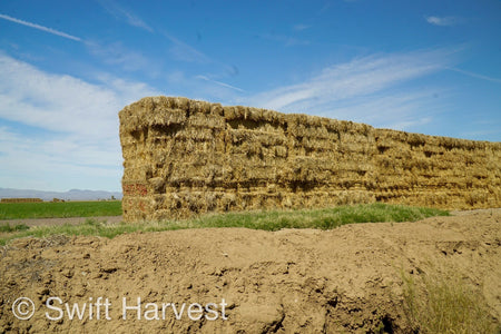 H&C Farms Retail Alfalfa 3-String Arizona Sudan Retail Bales P1-2-23S per bale