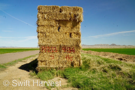 H&C Farms Retail Alfalfa 3-String Arizona Sudan Retail Bales P1-2-23S per bale