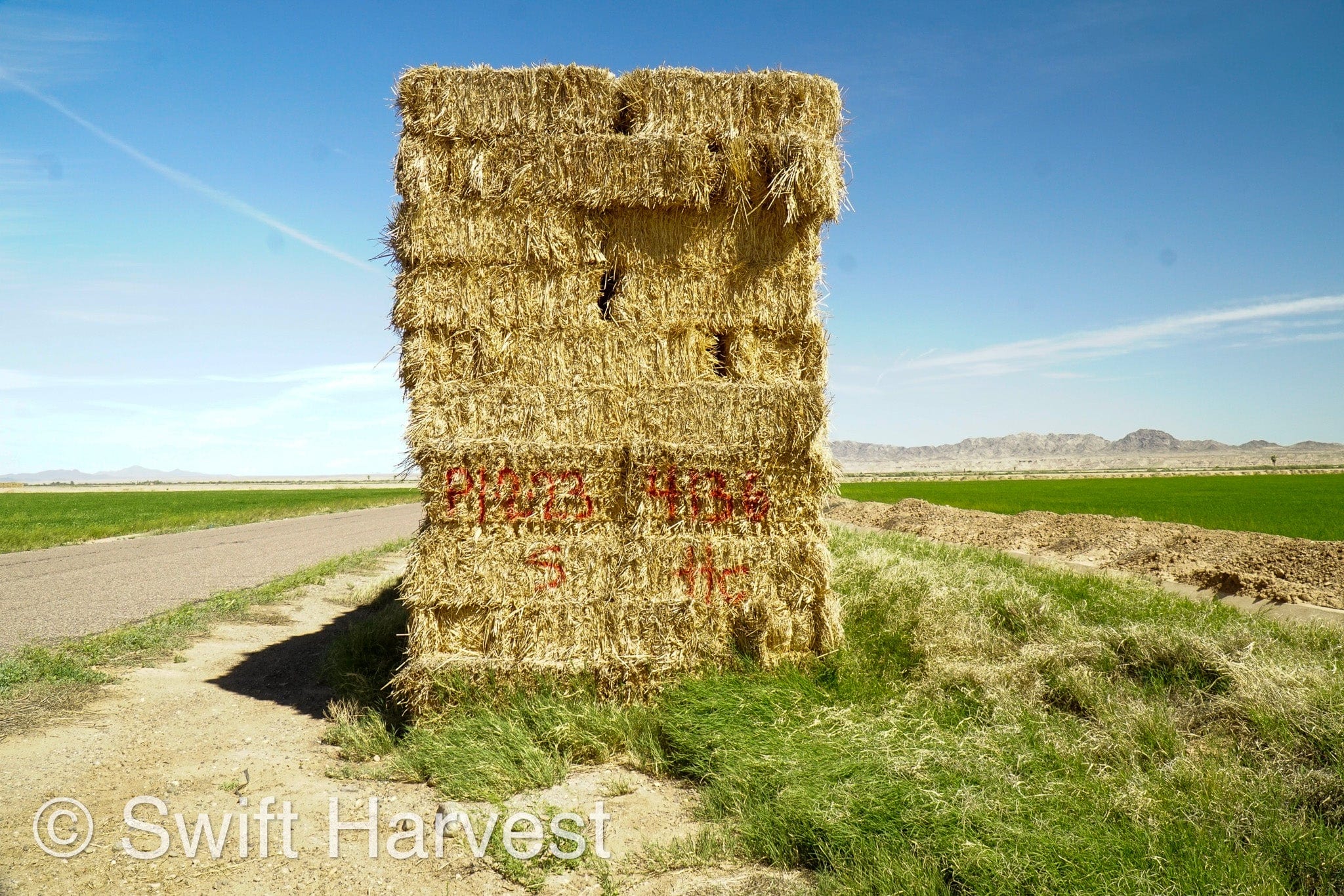 H&C Farms Retail Alfalfa 3-String Arizona Sudan Retail Bales P1-2-23S per bale